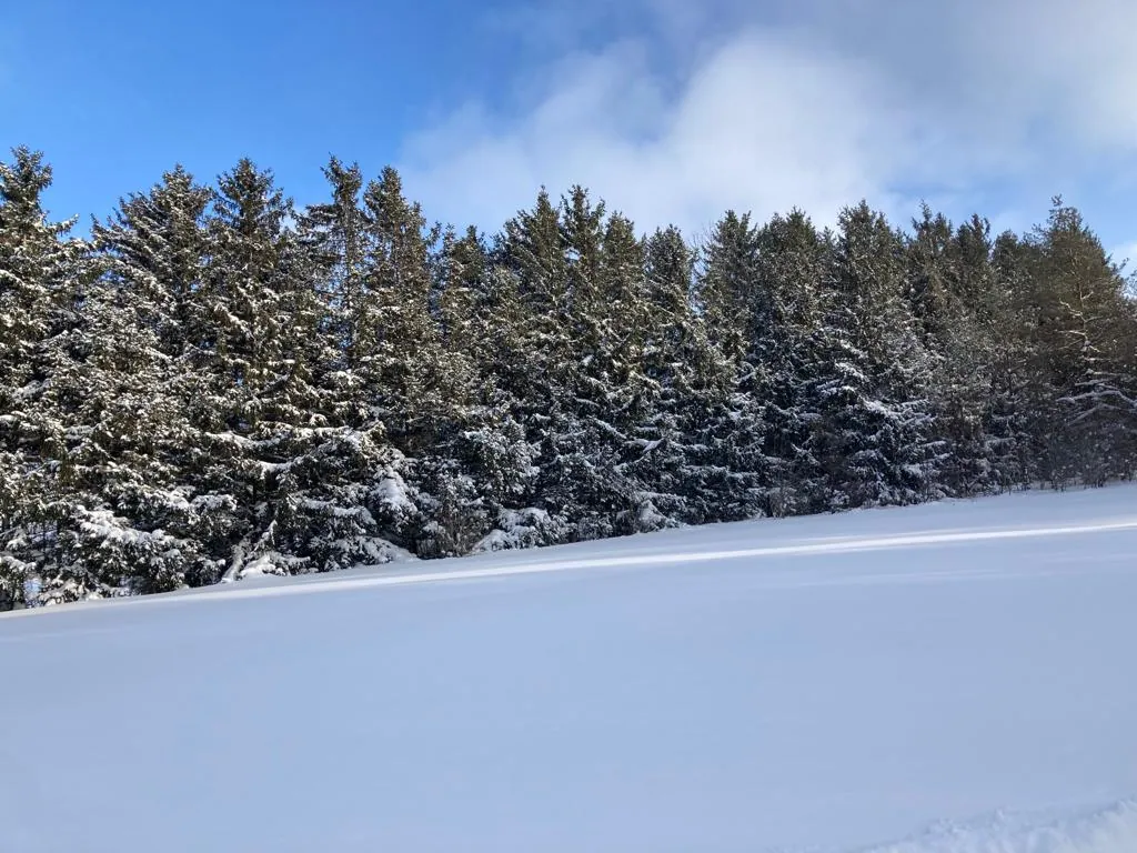 638212 St Vincent–Sydenham Townline, Meaford, Rural, Meaford (photo 1 of 7)