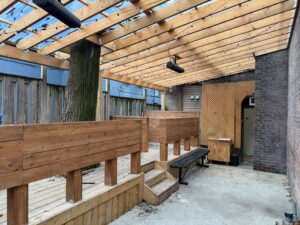 Backyard patio at Parkdale licensed café for sale at 1304 King St West Toronto, featuring covered wood deck, string lighting, and outdoor seating area.